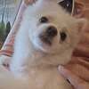 nancybob703